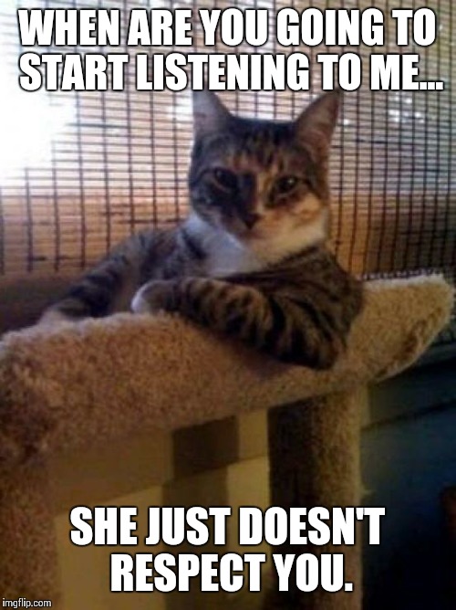 The Most Interesting Cat In The World Meme | WHEN ARE YOU GOING TO START LISTENING TO ME... SHE JUST DOESN'T RESPECT YOU. | image tagged in memes,the most interesting cat in the world | made w/ Imgflip meme maker