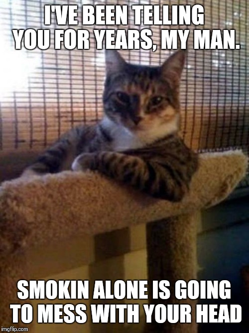 The Most Interesting Cat In The World | I'VE BEEN TELLING YOU FOR YEARS, MY MAN. SMOKIN ALONE IS GOING TO MESS WITH YOUR HEAD | image tagged in memes,the most interesting cat in the world | made w/ Imgflip meme maker