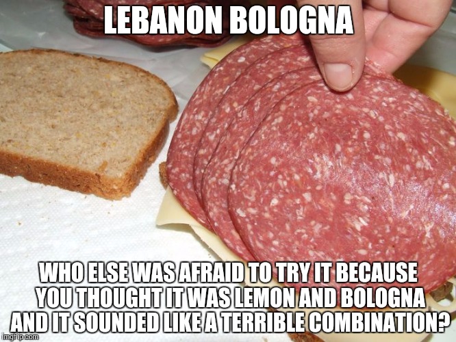 Lebanon Bologna | LEBANON BOLOGNA; WHO ELSE WAS AFRAID TO TRY IT BECAUSE YOU THOUGHT IT WAS LEMON AND BOLOGNA AND IT SOUNDED LIKE A TERRIBLE COMBINATION? | image tagged in funny,funny kids | made w/ Imgflip meme maker