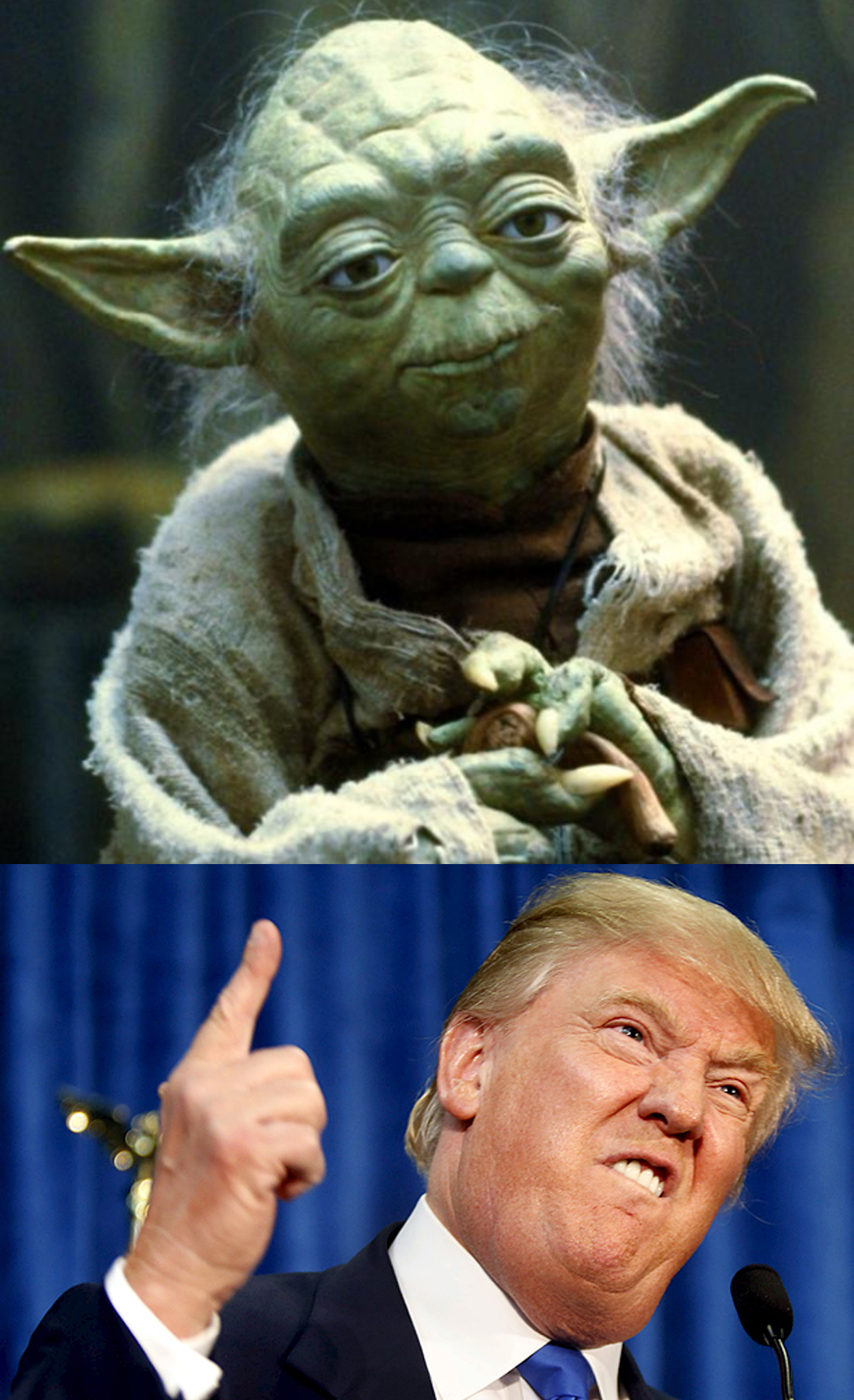 Yoda and Trump Blank Meme Template