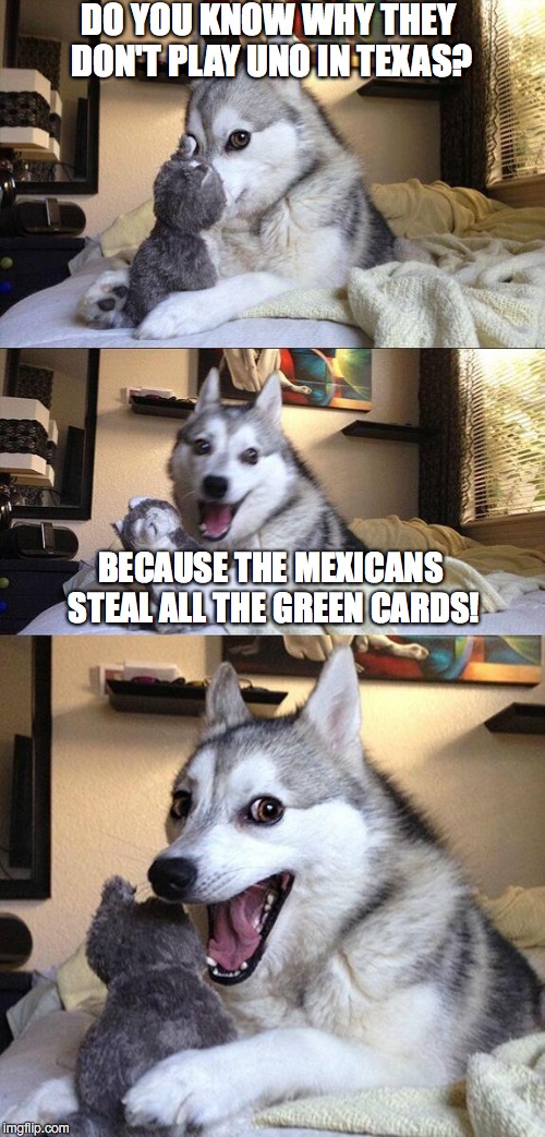 Bad Pun Dog Meme | DO YOU KNOW WHY THEY DON'T PLAY UNO IN TEXAS? BECAUSE THE MEXICANS STEAL ALL THE GREEN CARDS! | image tagged in memes,bad pun dog | made w/ Imgflip meme maker