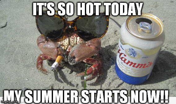 when i met you in the summer | IT'S SO HOT TODAY; MY SUMMER STARTS NOW!! | image tagged in summer crab,summer,crab,first world problems,summer time | made w/ Imgflip meme maker