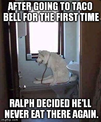 Poopin Doggy | AFTER GOING TO TACO BELL FOR THE FIRST TIME; RALPH DECIDED HE'LL NEVER EAT THERE AGAIN. | image tagged in poopin doggy | made w/ Imgflip meme maker