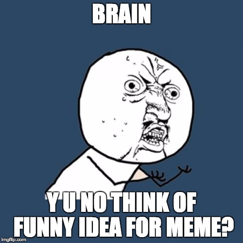 Y U No Meme |  BRAIN; Y U NO THINK OF FUNNY IDEA FOR MEME? | image tagged in memes,y u no | made w/ Imgflip meme maker