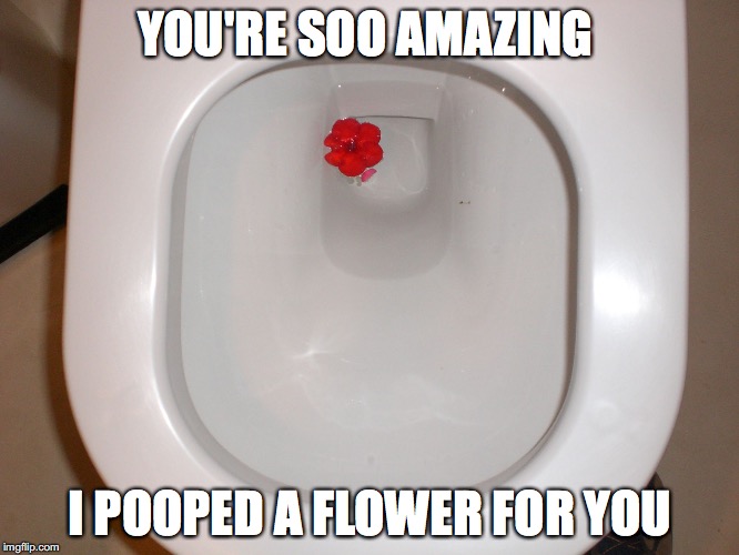  YOU'RE SOO AMAZING; I POOPED A FLOWER FOR YOU | image tagged in poop flower | made w/ Imgflip meme maker