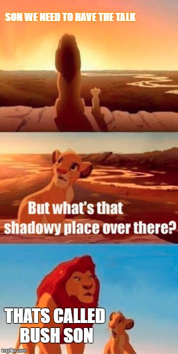 Simba Shadowy Place Meme | SON WE NEED TO HAVE THE TALK; THATS CALLED BUSH SON | image tagged in memes,simba shadowy place | made w/ Imgflip meme maker