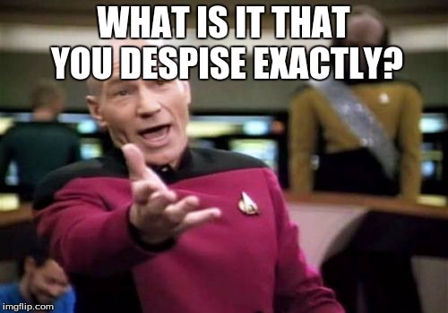 Picard Wtf Meme | WHAT IS IT THAT YOU DESPISE EXACTLY? | image tagged in memes,picard wtf | made w/ Imgflip meme maker
