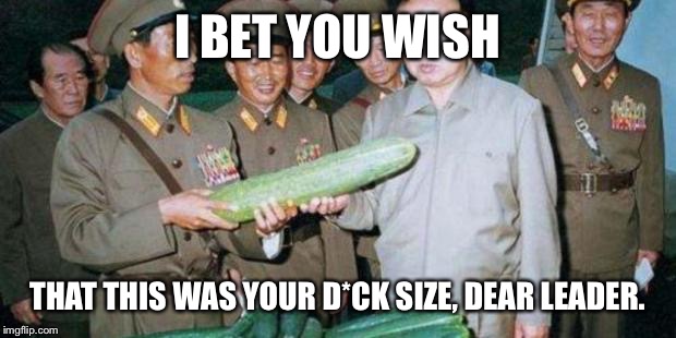Kim Jong Ill Cucumber | I BET YOU WISH; THAT THIS WAS YOUR D*CK SIZE, DEAR LEADER. | image tagged in kim jong ill cucumber | made w/ Imgflip meme maker