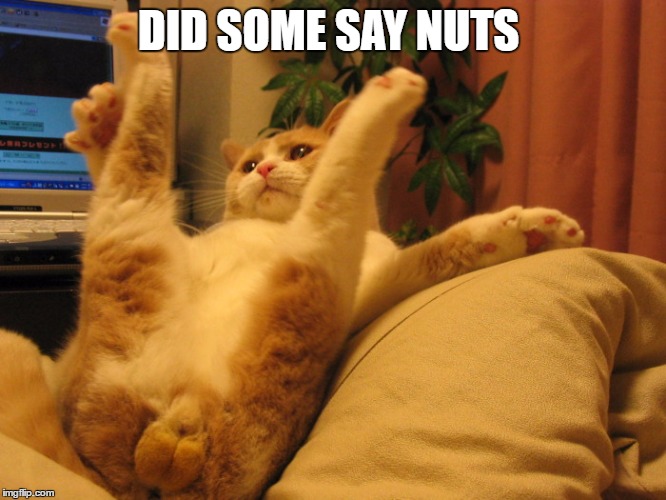DID SOME SAY NUTS | made w/ Imgflip meme maker