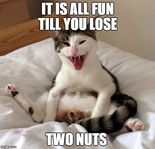 IT IS ALL FUN TILL YOU LOSE TWO NUTS | made w/ Imgflip meme maker
