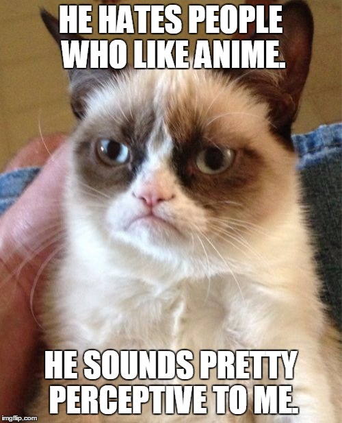 Grumpy Cat Meme | HE HATES PEOPLE WHO LIKE ANIME. HE SOUNDS PRETTY PERCEPTIVE TO ME. | image tagged in memes,grumpy cat | made w/ Imgflip meme maker