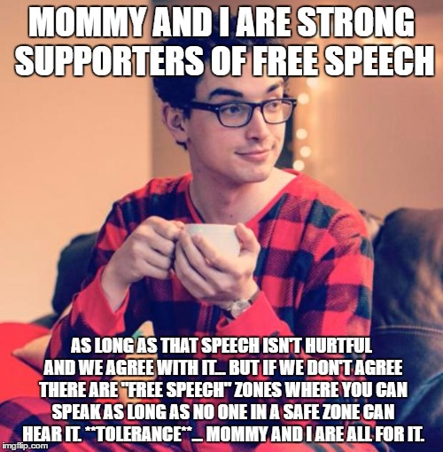 Pajama Boy | MOMMY AND I ARE STRONG SUPPORTERS OF FREE SPEECH; AS LONG AS THAT SPEECH ISN'T HURTFUL AND WE AGREE WITH IT... BUT IF WE DON'T AGREE THERE ARE "FREE SPEECH" ZONES WHERE YOU CAN SPEAK AS LONG AS NO ONE IN A SAFE ZONE CAN HEAR IT. **TOLERANCE**... MOMMY AND I ARE ALL FOR IT. | image tagged in pajama boy | made w/ Imgflip meme maker