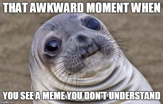 Awkward Moment Sealion Meme | THAT AWKWARD MOMENT WHEN; YOU SEE A MEME YOU DON'T UNDERSTAND | image tagged in memes,awkward moment sealion | made w/ Imgflip meme maker