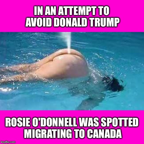 She's on the move already | IN AN ATTEMPT TO AVOID DONALD TRUMP; ROSIE O'DONNELL WAS SPOTTED MIGRATING TO CANADA | image tagged in trump,rosie o'donnell,memes,funny,whales | made w/ Imgflip meme maker