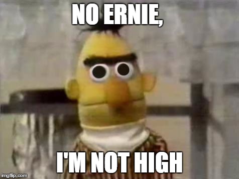 Bert Stare | NO ERNIE, I'M NOT HIGH | image tagged in bert stare | made w/ Imgflip meme maker