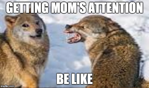 Doge_meme | GETTING MOM'S ATTENTION; BE LIKE | image tagged in moms,doge | made w/ Imgflip meme maker