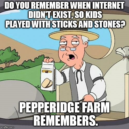 Pepperidge Farm Remembers Meme | DO YOU REMEMBER WHEN INTERNET DIDN'T EXIST, SO KIDS PLAYED WITH STICKS AND STONES? PEPPERIDGE FARM REMEMBERS. | image tagged in memes,pepperidge farm remembers | made w/ Imgflip meme maker