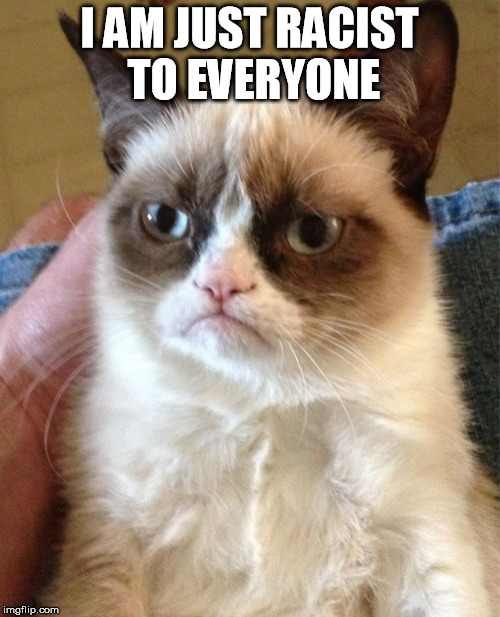 Grumpy Cat Meme | I AM JUST RACIST TO EVERYONE | image tagged in memes,grumpy cat | made w/ Imgflip meme maker