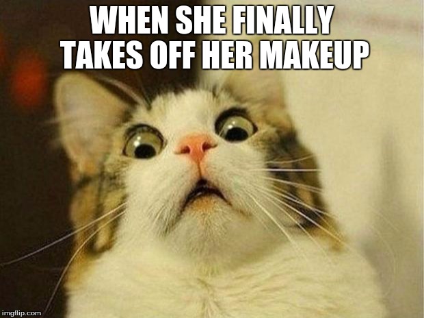 Scared Cat Meme | WHEN SHE FINALLY TAKES OFF HER MAKEUP | image tagged in memes,scared cat | made w/ Imgflip meme maker