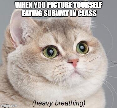 Heavy Breathing Cat | WHEN YOU PICTURE YOURSELF EATING SUBWAY IN CLASS | image tagged in memes,heavy breathing cat | made w/ Imgflip meme maker