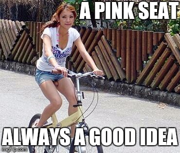 A PINK SEAT; ALWAYS A GOOD IDEA | image tagged in bikers,bike fail,original meme | made w/ Imgflip meme maker