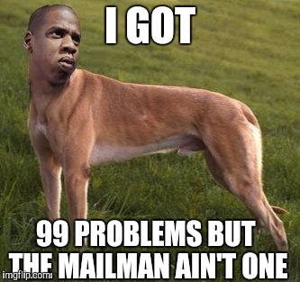 I GOT; 99 PROBLEMS BUT THE MAILMAN AIN'T ONE | image tagged in jay z meme,original meme | made w/ Imgflip meme maker