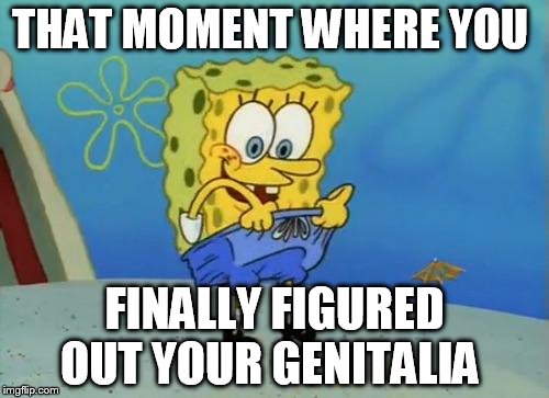 SpongeBob Touch Myself | THAT MOMENT WHERE YOU; FINALLY FIGURED OUT YOUR GENITALIA | image tagged in spongebob touch myself | made w/ Imgflip meme maker