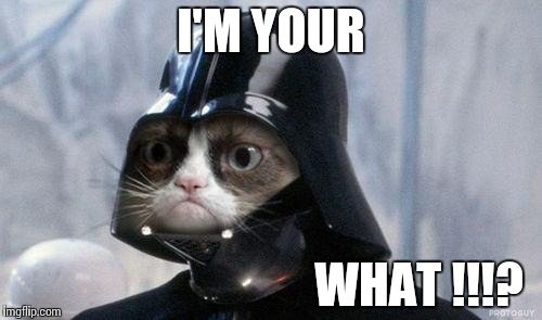 Grumpy Cat Star Wars Meme | I'M YOUR; WHAT !!!? | image tagged in memes,grumpy cat star wars,grumpy cat | made w/ Imgflip meme maker