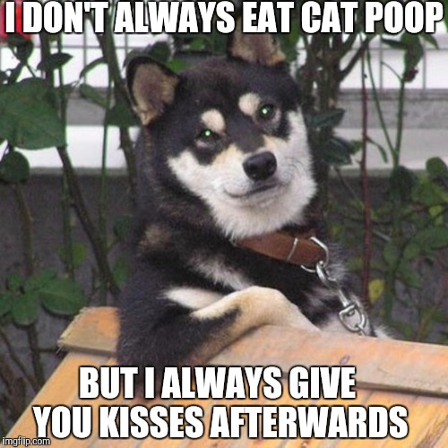 I DON'T ALWAYS EAT CAT POOP BUT I ALWAYS GIVE YOU KISSES AFTERWARDS | made w/ Imgflip meme maker