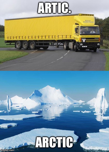 ARTIC. ARCTIC | image tagged in funny memes | made w/ Imgflip meme maker