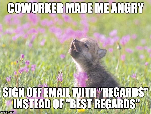 Baby Insanity Wolf Meme | COWORKER MADE ME ANGRY; SIGN OFF EMAIL WITH "REGARDS" INSTEAD OF "BEST REGARDS" | image tagged in memes,baby insanity wolf,AdviceAnimals | made w/ Imgflip meme maker