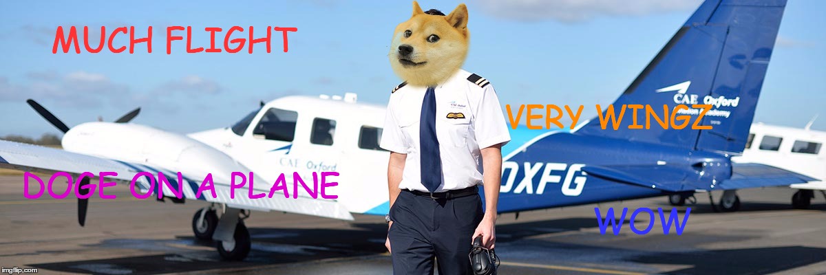 Doge on a plane. | MUCH FLIGHT; VERY WINGZ; DOGE ON A PLANE; WOW | image tagged in memes,doge | made w/ Imgflip meme maker
