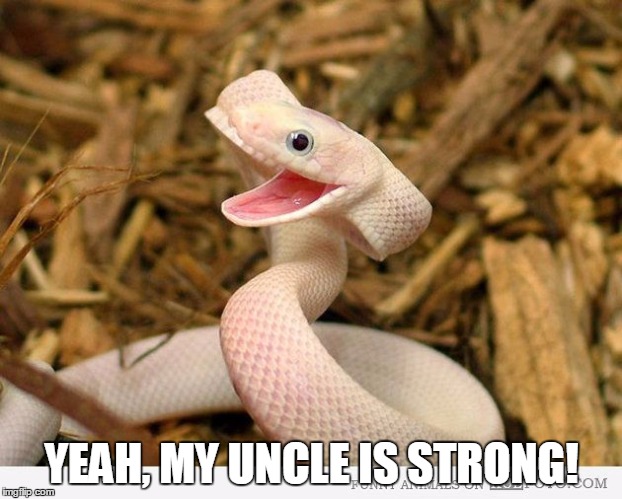 YEAH, MY UNCLE IS STRONG! | made w/ Imgflip meme maker