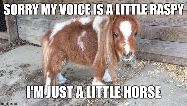 Little horse | SORRY MY VOICE IS A LITTLE RASPY; I'M JUST A LITTLE HORSE | image tagged in memes,horse,little | made w/ Imgflip meme maker