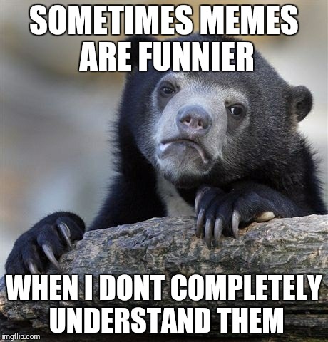 Confession Bear | SOMETIMES MEMES ARE FUNNIER; WHEN I DONT COMPLETELY UNDERSTAND THEM | image tagged in memes,confession bear | made w/ Imgflip meme maker