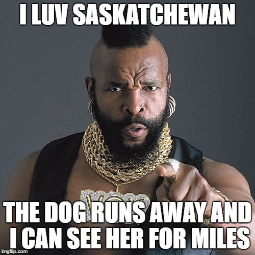 Mr T Pity The Fool Meme | I LUV SASKATCHEWAN; THE DOG RUNS AWAY AND I CAN SEE HER FOR MILES | image tagged in memes,mr t pity the fool | made w/ Imgflip meme maker