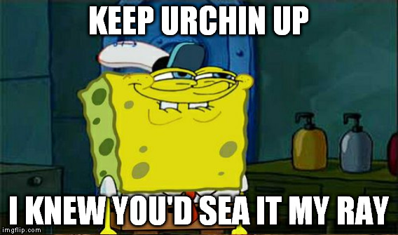 KEEP URCHIN UP I KNEW YOU'D SEA IT MY RAY | made w/ Imgflip meme maker
