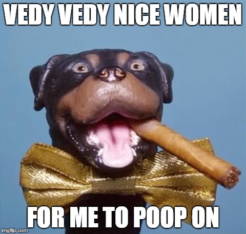 Triumph the Insult Comic Dog | VEDY VEDY NICE WOMEN; FOR ME TO POOP ON | image tagged in triumph the insult comic dog | made w/ Imgflip meme maker