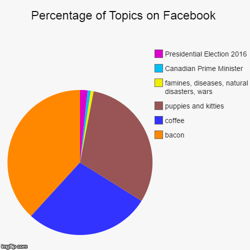 what really interests us | image tagged in funny,pie charts,cutness,politics,coffee,bacon | made w/ Imgflip chart maker