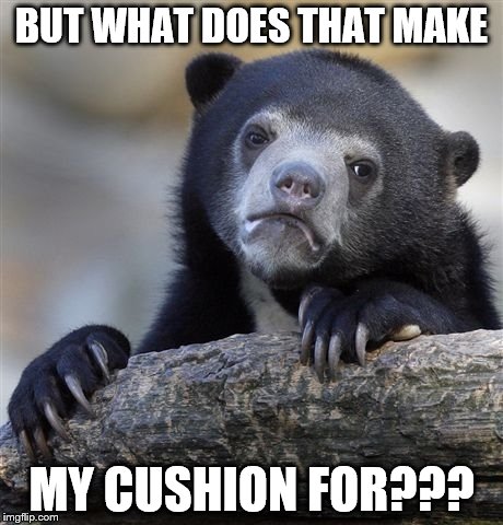 Confession Bear Meme | BUT WHAT DOES THAT MAKE MY CUSHION FOR??? | image tagged in memes,confession bear | made w/ Imgflip meme maker