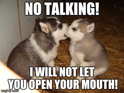 Cute Puppies | NO TALKING! I WILL NOT LET YOU OPEN YOUR MOUTH! | image tagged in memes,cute puppies | made w/ Imgflip meme maker