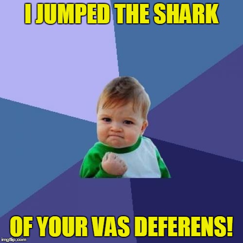 Success Kid Meme | I JUMPED THE SHARK OF YOUR VAS DEFERENS! | image tagged in memes,success kid | made w/ Imgflip meme maker