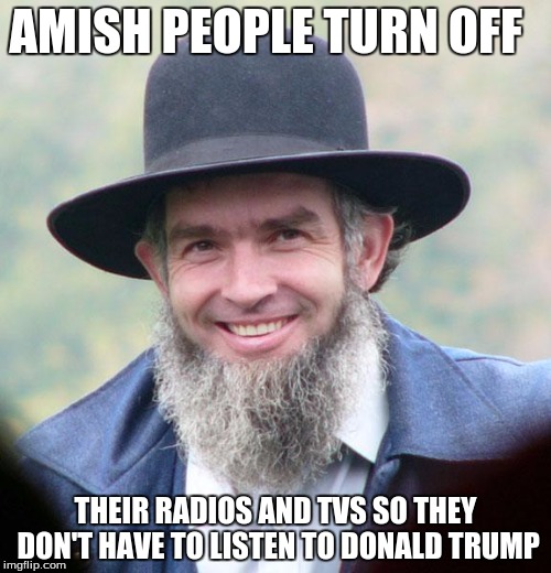 Amish | AMISH PEOPLE TURN OFF; THEIR RADIOS AND TVS SO THEY DON'T HAVE TO LISTEN TO DONALD TRUMP | image tagged in amish | made w/ Imgflip meme maker