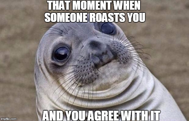 Oh That Burn...
 | THAT MOMENT WHEN SOMEONE ROASTS YOU; AND YOU AGREE WITH IT | image tagged in memes,awkward moment sealion,roast | made w/ Imgflip meme maker