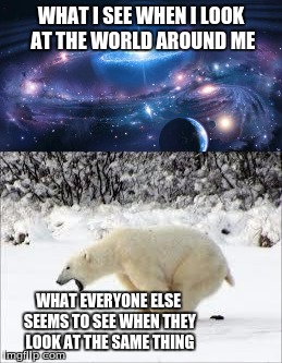  WHAT I SEE WHEN I LOOK AT THE WORLD AROUND ME; WHAT EVERYONE ELSE SEEMS TO SEE WHEN THEY LOOK AT THE SAME THING | image tagged in universe | made w/ Imgflip meme maker