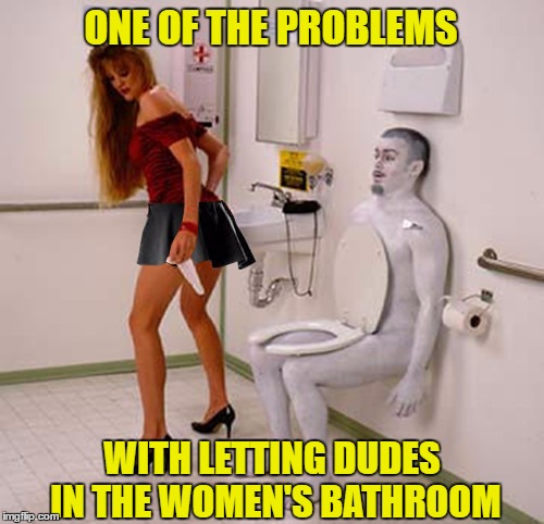 transgender restroom | ONE OF THE PROBLEMS; WITH LETTING DUDES IN THE WOMEN'S BATHROOM | image tagged in transgender restroom | made w/ Imgflip meme maker