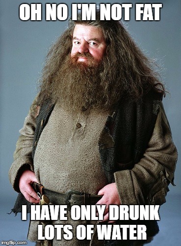 Hagrid's excuse | OH NO I'M NOT FAT; I HAVE ONLY DRUNK LOTS OF WATER | image tagged in memes,hagrid | made w/ Imgflip meme maker