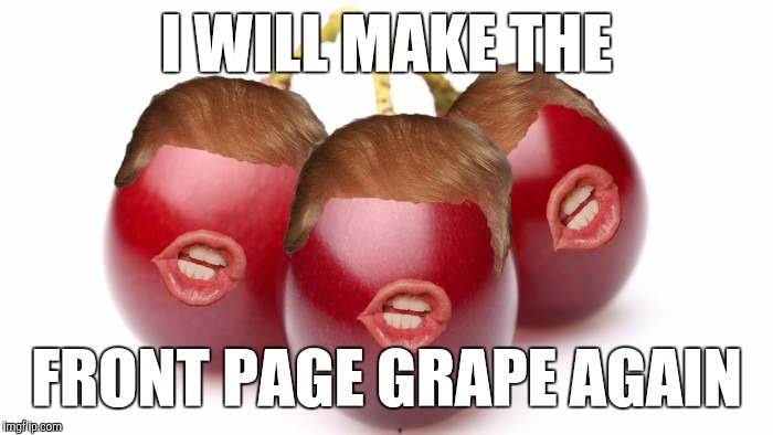 I WILL MAKE THE; FRONT PAGE GRAPE AGAIN | image tagged in donald trump,grapes,original meme | made w/ Imgflip meme maker