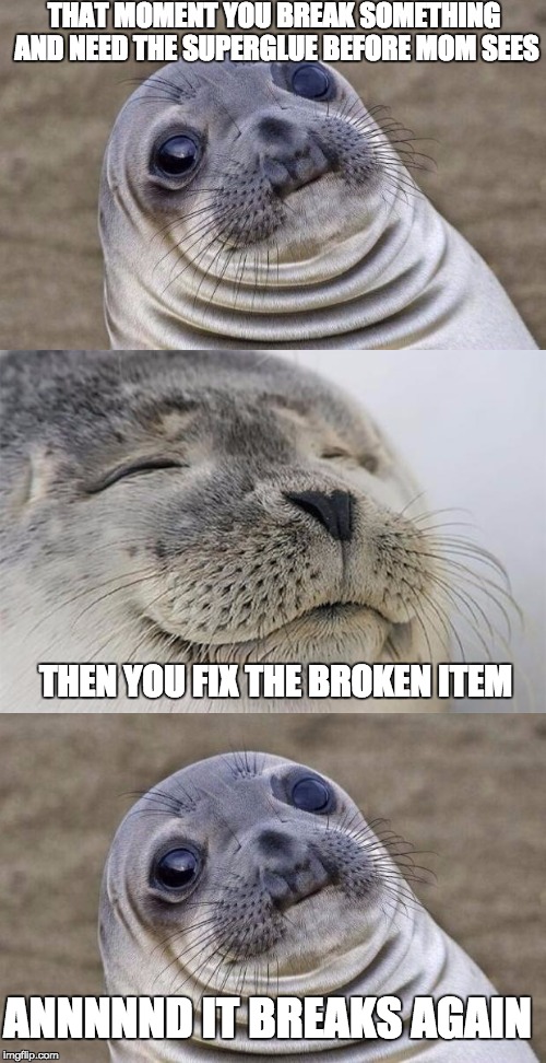 All the time.... | THAT MOMENT YOU BREAK SOMETHING AND NEED THE SUPERGLUE BEFORE MOM SEES; THEN YOU FIX THE BROKEN ITEM; ANNNNND IT BREAKS AGAIN | image tagged in awkward moment sealion,satisfied seal,memes,funny,funny memes | made w/ Imgflip meme maker