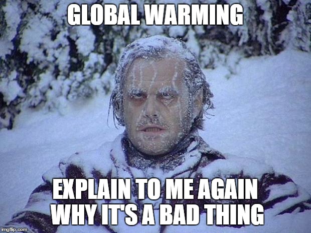global warming
 | GLOBAL WARMING; EXPLAIN TO ME AGAIN WHY IT'S A BAD THING | image tagged in memes,jack nicholson the shining snow | made w/ Imgflip meme maker